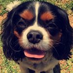 Daniel Porter - Instagram Profile Picture of Daniel Porter (@daniel_porter06) on Instagram