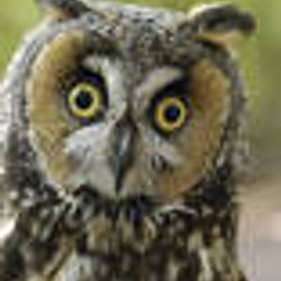 Profile Picture of Claudio Martins (@claudiomartins6) on Twitter