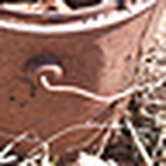 Profile Picture of Angela Struyk-huyer (@astruyk) on Flickr