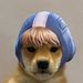 Profile Picture of Daniel Schuessler (@Doom101dan) on Pinterest