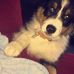 Profile Picture of Buddy Cohen (Aussie Blog) (@buddy.cohen.71) on Facebook