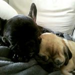 Profile Picture of dawn moore (@dawnmoore1911) on Instagram