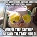 Profile Picture of Edward Lapierre (@edwardlapierre) on Pinterest