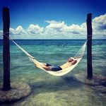 Profile Picture of Greg Shaver (@instagreg.dotcom) on Instagram