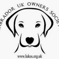 Profile Picture of Carl Thomson (@carl-thomson-1) on Quora