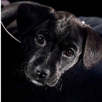 Profile Picture of Devin Miles (@devinmiles3) on Twitter