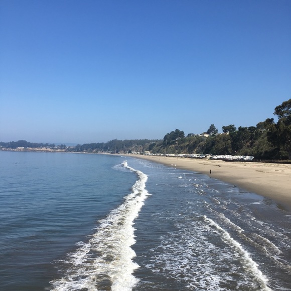 Profile Picture of Taryn Randash (@trandash) on Poshmark