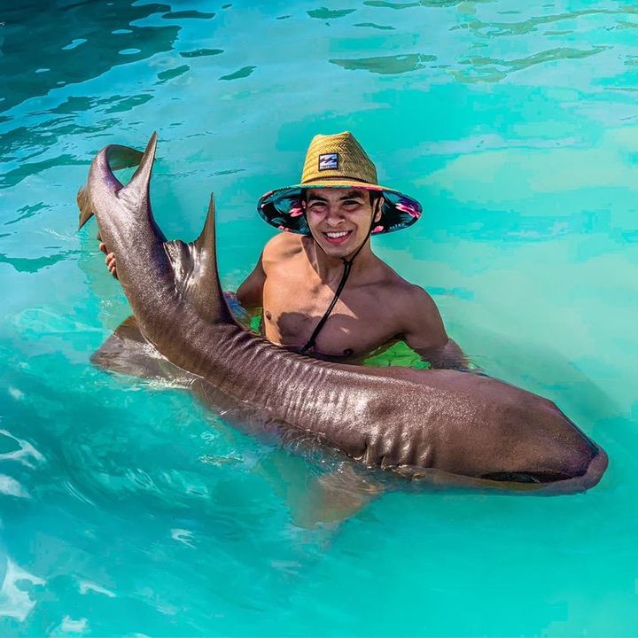 Profile Picture of Aaron Castro (@aaroncastro_31) on Tiktok