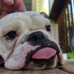 Profile Picture of Chad Milburn (@Chad-Milburn) on Facebook