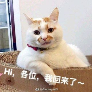 Profile Picture of Tanry Low (@tanry.low) on Facebook