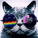Profile Picture of Aaron Weekes (@aaron.weekes.902) on Instagram