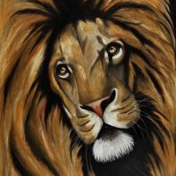 Profile Picture of Cynthia Warden (@CynthiaWarden) on Twitter