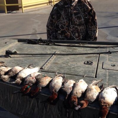 Profile Picture of Brandon Rushing (@rushingbrandon) on Twitter