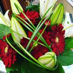 Profile Picture of Heather Hyland (@hylandtwo) on Instagram