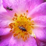 Profile Picture of Gaurav Rawal (@gaurav_rawal123) on Instagram