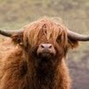 Profile Picture of Bob McIntosh (@scotfot1) on Youtube