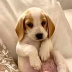 Profile Picture of Jerry (@elmundodejerryy) on Instagram