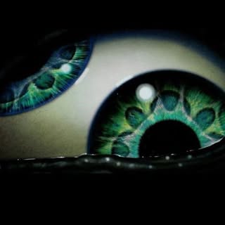 Profile Picture of Damir Pavičić (@damir.pavicic) on Instagram