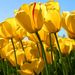 Profile Picture of Abdul Najeeb Mohammad (@abdulnajeebm) on Pinterest