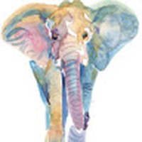 Profile Picture of Mckenna Karchefsky (@mckenna-karchefsky) on Quora