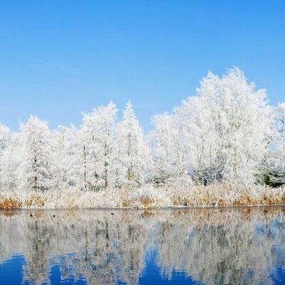 Profile Picture of Andy Gao (@andygao4) on Twitter
