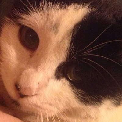 Profile Picture of Ruby Jenkins (@pinkalogical) on Twitter