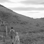 Profile Picture of Thomas (@huetten.zauber) on Instagram