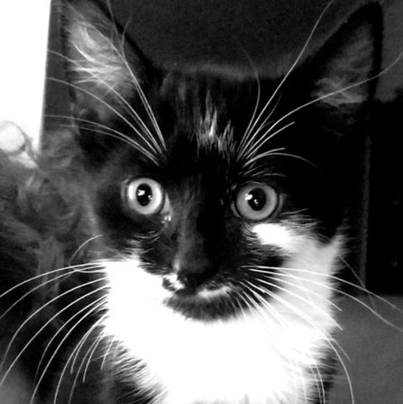 Profile Picture of Kathy Naglich (@knaglich) on Poshmark