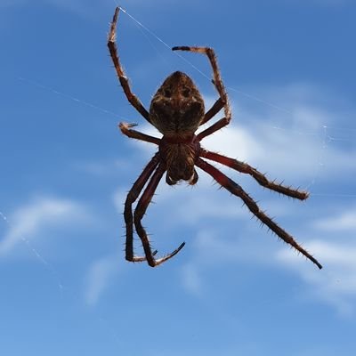 Profile Picture of Sean Hobbs (@sean_hobbs04) on Twitter