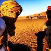 Profile Picture of Shea Bertrand (@bertrand0469) on Pinterest