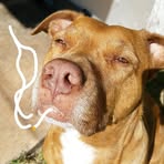 Profile Picture of Amy Speer (@Amy-Speer) on Facebook