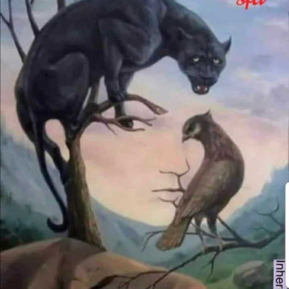 Profile Picture of Seyed Mowlana (@hadarami) on Poshmark