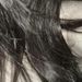 Profile Picture of Kate Cachay (@katendmilkshake) on Pinterest