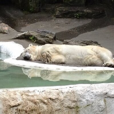 Profile Picture of Crystal Jin (@@crystaljin1) on Twitter