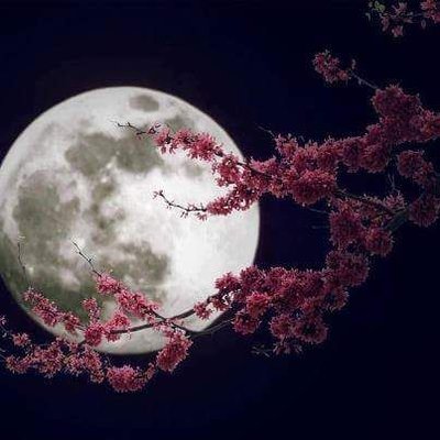 Profile Picture of Ratnamala Talari (@a0121cb3cba9492) on Twitter