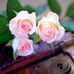 Profile Picture of Batool Malik (@batool.malik.773) on Facebook