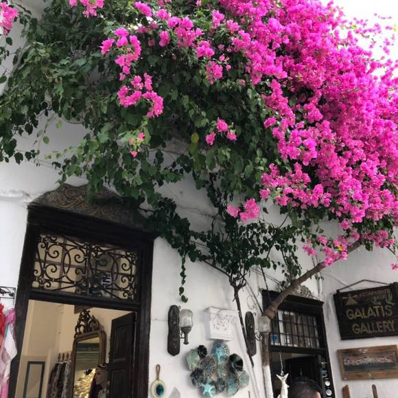 Kathy Suleski - Poshmark Profile Picture of Kathy Suleski (@khsul) on Poshmark