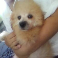 Profile Picture of Alejandro Sanchez Guijarro (@318868211) on Myspace