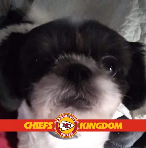 Profile Picture of E chris Keune (@e_keune) on Poshmark