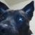 Profile Picture of Bobby Staton (@bobbystaton18) on Pinterest