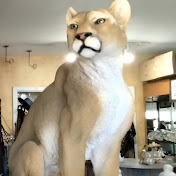 Profile Picture of Charles Calhoun (@charlescalhoun1178) on Youtube