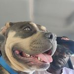 Profile Picture of Jason Bickley (@jason.bickley.161) on Instagram