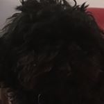 Profile Picture of Alesha Eileen Olivia Lucey (@aleshaeileenolivia) on Instagram