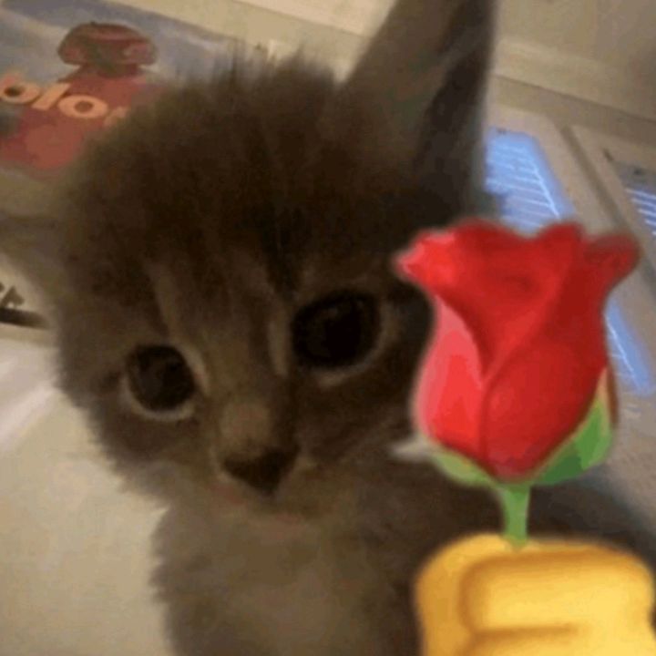 Profile Picture of Aaron Win (@aaron_win.03) on Tiktok