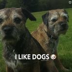 Profile Picture of Andrew Nobbs (@andrew.nobbs.31) on Facebook