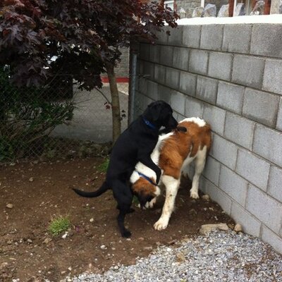 Damien Conway - Twitter Profile Picture of Damien Conway (@@DamienConway1) on Twitter