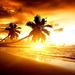 Profile Picture of Alex Haller (@alexhaller1) on Pinterest