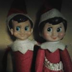 Profile Picture of fred.sugar.fisbee.r.elves (@fred.sugar.fisbee.r.elves) on Instagram