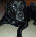 Profile Picture of Billy Hoppe (@billy.hoppe.9) on Facebook