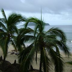 Profile Picture of Crescencio Chavez Ca (@@crescenciochavezcasilla) on Tiktok